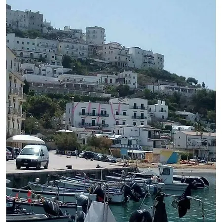 Marazzurro